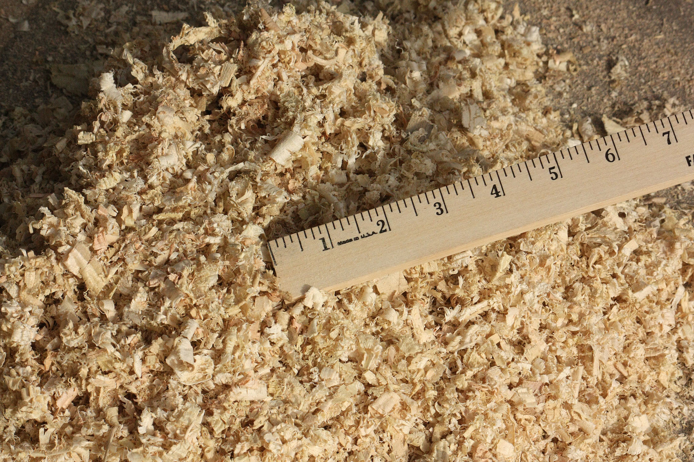 poplar shavings